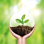 ����֪ʶ___����鿴����